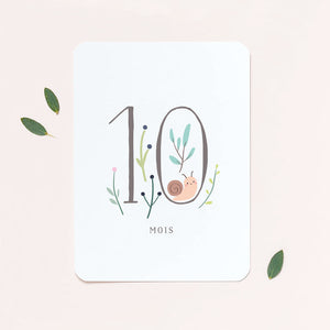 Gift Set Milestone Cards First Year - Forest